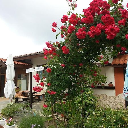 Sea View Family Hotel كرانيفو المظهر الخارجي الصورة