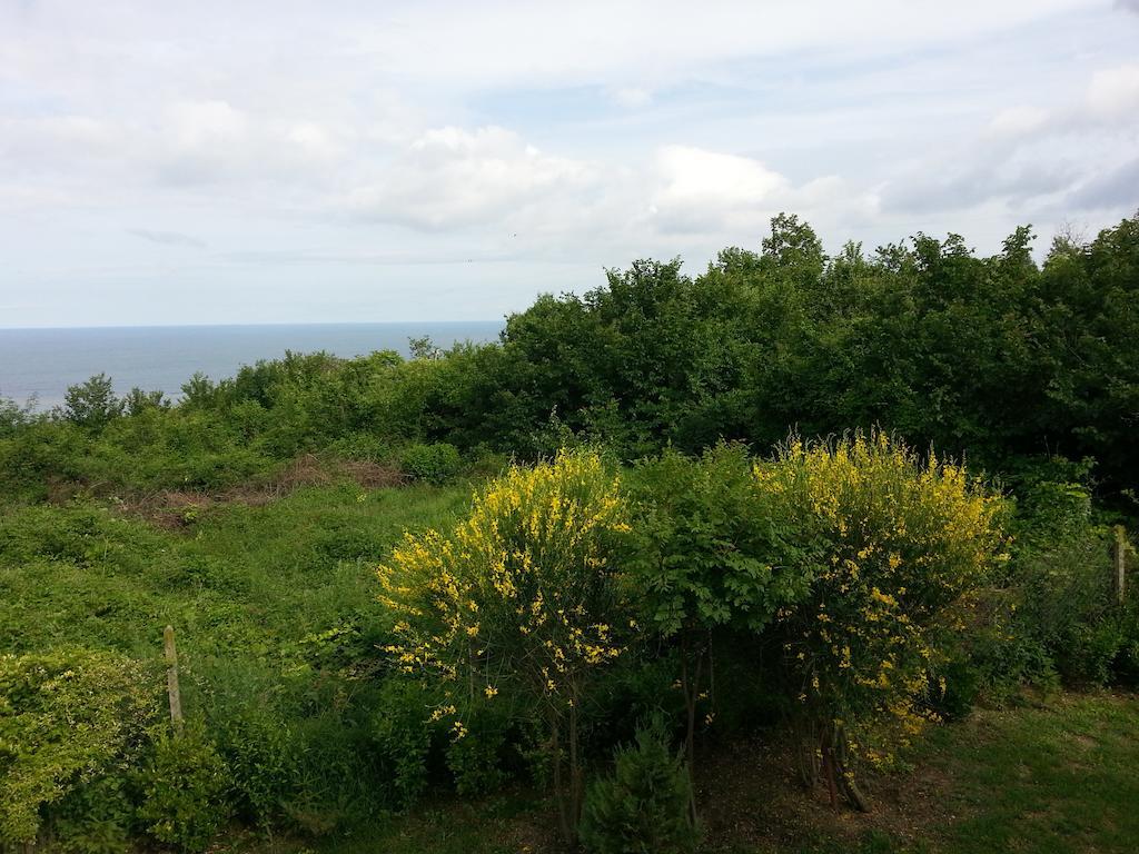 Sea View Family Hotel كرانيفو المظهر الخارجي الصورة